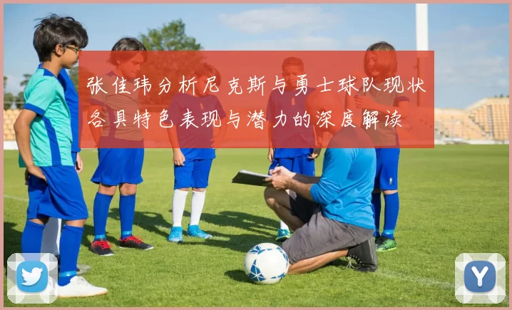 张佳玮分析尼克斯与勇士球队现状各具特色表现与潜力的深度解读