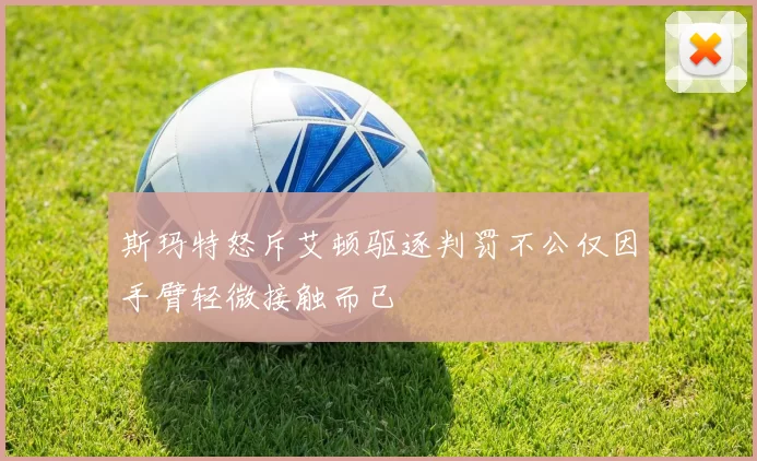 斯玛特怒斥艾顿驱逐判罚不公仅因手臂轻微接触而已